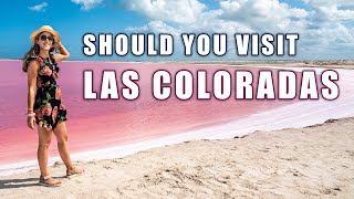 Day Trip to Las Coloradas Pink Lake amp Rio Lagartos in Mexico [upl. by Nnylecyoj]