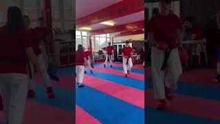 Spinning back fist karate sparring [upl. by Einaoj557]