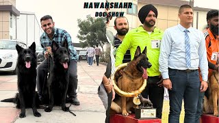 German Shepherd Speciality Dog show in Nawanshahr Punjab 2024😱 [upl. by Anihs]