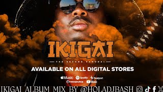 Tmanxpress Ikigai Album Mix By holadjbash Side A 2024 I Amapiano [upl. by Desdamonna48]