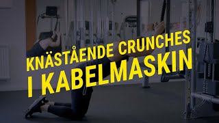 Knästående crunches i kabelmaskin Teknik och utförande  Gymgrossisten [upl. by Gad]