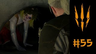 The Witcher 3 Wild Hunt  Lets Play  55 [upl. by Vories692]