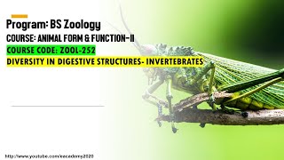 Diversity in Digestive Structures Invertebrates [upl. by Anaderol778]