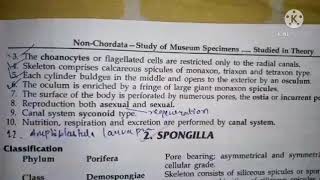 sycon or scypha classification habitat and comments zoology practical bsc1 best handwritten study [upl. by Posner811]