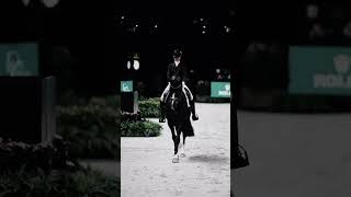 The real Black Beauty 🖤☆ horses equestrain [upl. by Esinrahc]