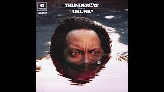 Thundercat  Them Changes [upl. by Macur]