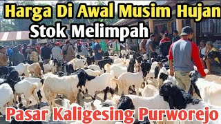 Harga kambing PE Kaligesing Di pasar Kaligesing purworejokambingkaligesing bibitkambingetawa [upl. by Minnie138]