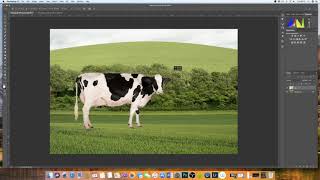 How to insert an image into another image Photoshop  EASY EXPLANATION [upl. by Erich]