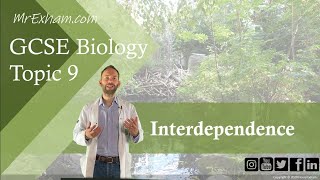 Interdependence  GCSE Biology 91 93 [upl. by Aramoj]