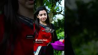 Ajo Roj Hashore Atif Ahmed Niloy atifahmedniloysadsong bangladeshi songs sad sadsong niloysong [upl. by Garges]