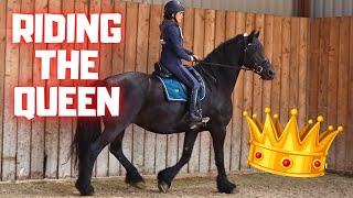 Riding Queen👑Uniek for the first time since Rising Star⭐  Johnny as new  Friesian Horses [upl. by Asiralc]