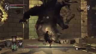 Demons Souls Boss Tutorial Vanguard [upl. by Doralynne]