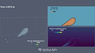 Air bubble detachment in water shear flow [upl. by Mountford]