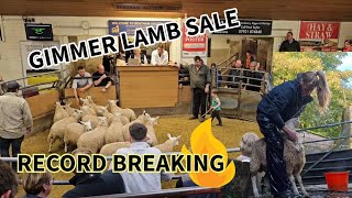 RECORD BREAKING Selling our Gimmer Lambs [upl. by Sajet]