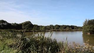 HIGHAMPTON LAKE HIGHAMPTON HOLSWORTHY DEVON [upl. by Assi623]