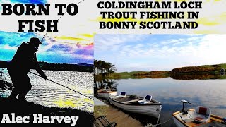 Fly fishing  Coldingham Loch bonny Scotland [upl. by Yasmin971]