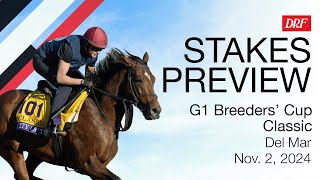 Grade 1 Breeders Cup Classic Preview  November 2 2024 [upl. by Aleunamme]