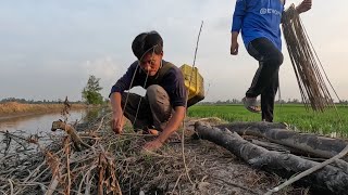 Cách Cắm Câu Trên Khô Vậy Mà Dính Có Một Không Hai Làm Nồi Cháo Hành Hết Sảy T371 [upl. by Albarran]