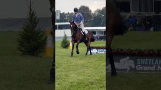 ALDONA shorts shortsviral horse tiktok blenheim riding bpiht viral fyp [upl. by Melvin]