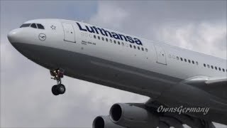 UpClose 2 Lufthansa Airbus A340300 Visit Seattle  KSEA [upl. by Kahaleel]