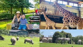 Exploring Marwell Zoo Winchester 🇬🇧 [upl. by Wolcott761]