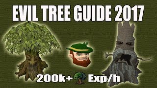 Runescape 3 Evil Tree DampD Guide 2017  200k WC Exph  Elder Trees [upl. by Ecirrehs274]