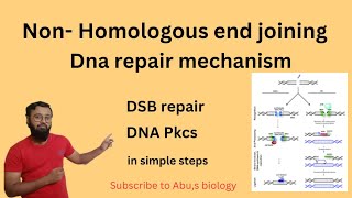 Non Homologous end joining  Dna repair mechanism NHEJ  DSB repair dnarepair [upl. by Verine]