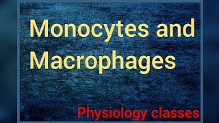 Monocytes and Macrophages  In hindi  Physiology classes [upl. by Klehm]