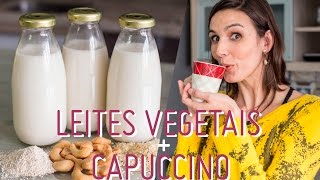 LEITES VEGETAIS preparo e benefícios  receita CAPUCCINO [upl. by Nofpets]