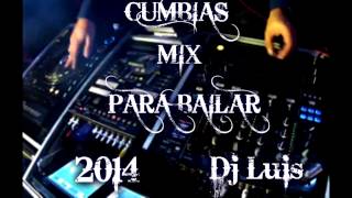 Cumbias Mix Para Bailar Dj Luis [upl. by Nemajneb411]