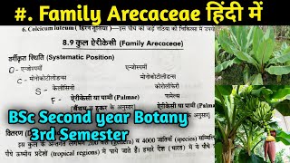 Family Arecaceae in hindi  BSc first year Botany Third Semester [upl. by Groveman]