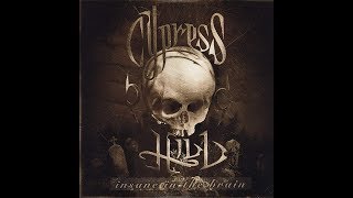 Cypress Hill  Insane In The Brain 30 to 45hz [upl. by Trillby494]