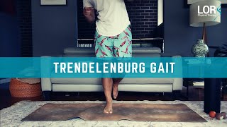 How to Fix a Trendelenburg Gait  LOR Physical Therapy [upl. by Acebber19]