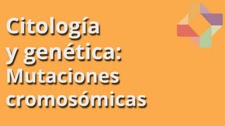 Mutaciones cromosómicas  Citología y Genética  Educatina [upl. by Halley]