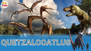 Quetzalcoatlus el animal volador más grande que ha existido en la Tierra dinosaurios viral [upl. by Sidney]