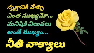 top matalu 1095  manchi matalu  jeevita satyalu  neethi vakyalu  telugu sukthulu  quotations [upl. by Eloci154]