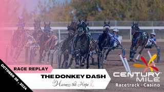 Harness the Hope The Donkey Dash  Saturday October 26 [upl. by Aninay]