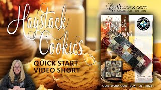 Haystack Cookies Quick Start Guide 4 Minutes with Judy [upl. by Amikay]