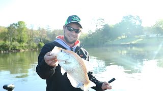 Crappie Fishing with Wired For Crappie  Crappie Cove Tournament Watts Bar Lake ep 5 [upl. by Tsuda]