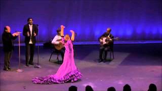 Siempre Flamenco 10 Festival de Cante Miami 2015 Celia Fonta Soleares [upl. by Thirzia]