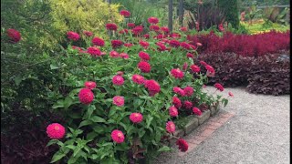 A Walk Through Beautiful Cantigny Park August 21 2017 [upl. by Ahsinned]