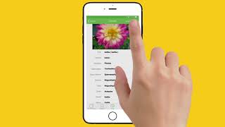 PlantSnap iPhone instructional video  landscape [upl. by Anyrb74]