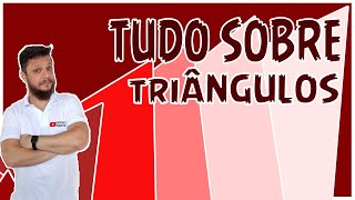 TUDO QUE VOCÊ PRECISA SABER SOBRE OS TRIÂNGULOS [upl. by Alaecim]