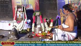 Paroksha Seva Rahu Kethu Sarpa Dosha Nivarana Pooja 06062024 [upl. by Ahkihs]