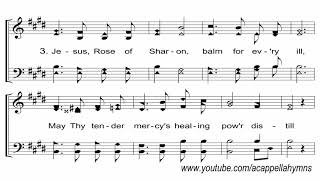 Jesus Rose of Sharon  A Cappella Hymn [upl. by Gibe]