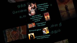 velli nilave song lyrics  melody love song youtube shorts [upl. by Annwahsal]