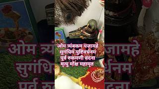 Om tryambakam yajamahe sugandhim pushtivardhanamharharmahadev viralvideo yutubeshorts love 🙏👌🤗❤️ [upl. by Luwana]