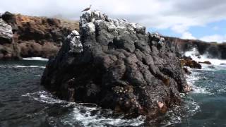 The beauty of the Galapagos from Red Savannah [upl. by Elianore892]