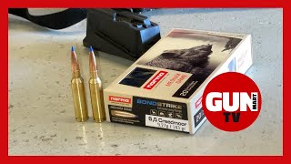 AMMO TEST Norma BONDSTRIKE 143grain 65 Creedmoor [upl. by Anneirb]