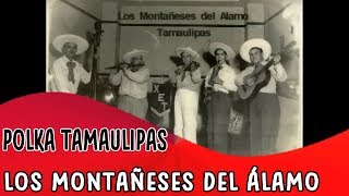 Los Montañeses del Alamo Polka Tamaulipas [upl. by Huberman]